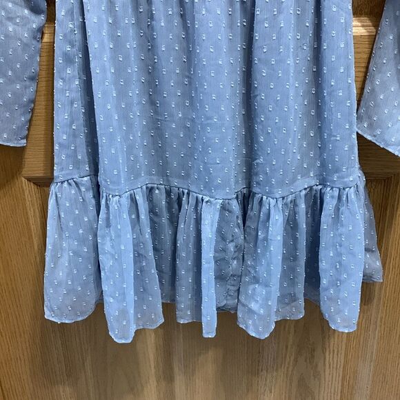 H&M Divided | Women’s Blue Sheer Swiss Dot Long Sleeve Midi Dress - Picture 5 of 10